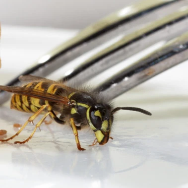 B&R Preventa GmbH Augsburg.jpg