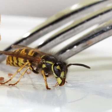 B&R Preventa GmbH Karlsruhe..jpg