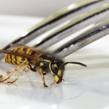 B&R Preventa GmbH Mannheim.jpg