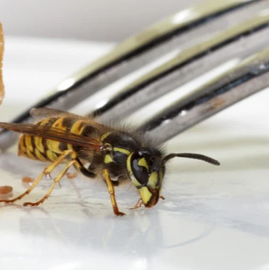 B&R Preventa GmbH Nürnberg..jpg