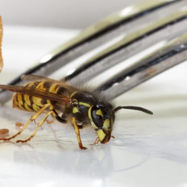 B&R Preventa GmbH Frankfurt am Main.jpg