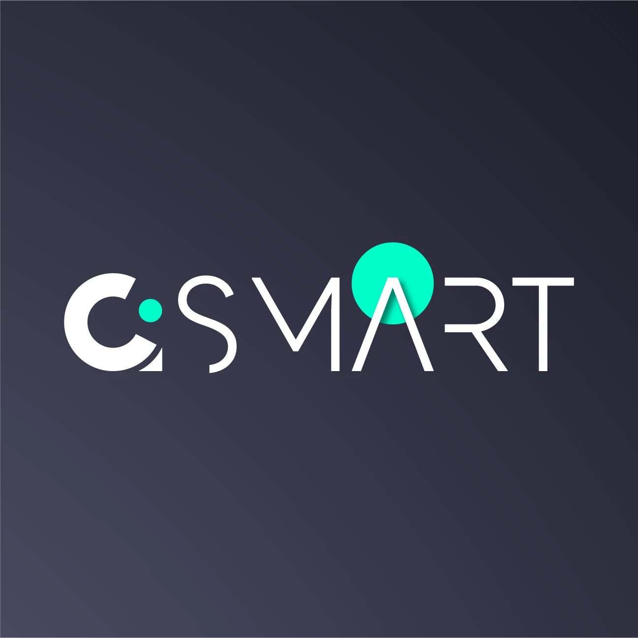 CiSmart Solutions GmbH.jpg