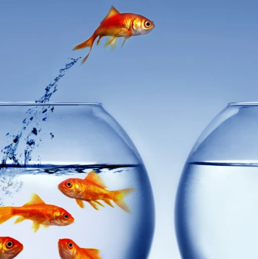 netmotion® internet-services.jpg