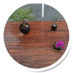 Gärten und Landschaften Peter Blome GmbH.jpg