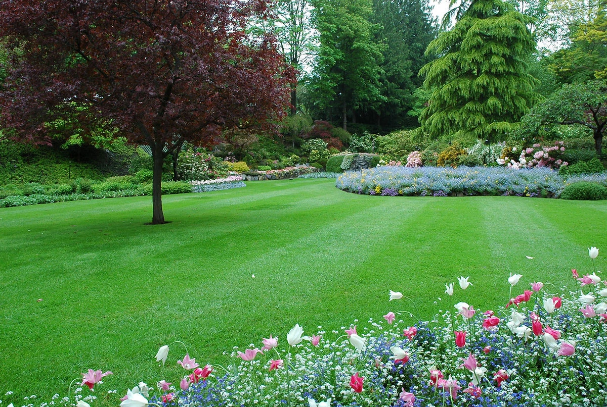 Stonehands Gartenlandschaftsbau.jpg