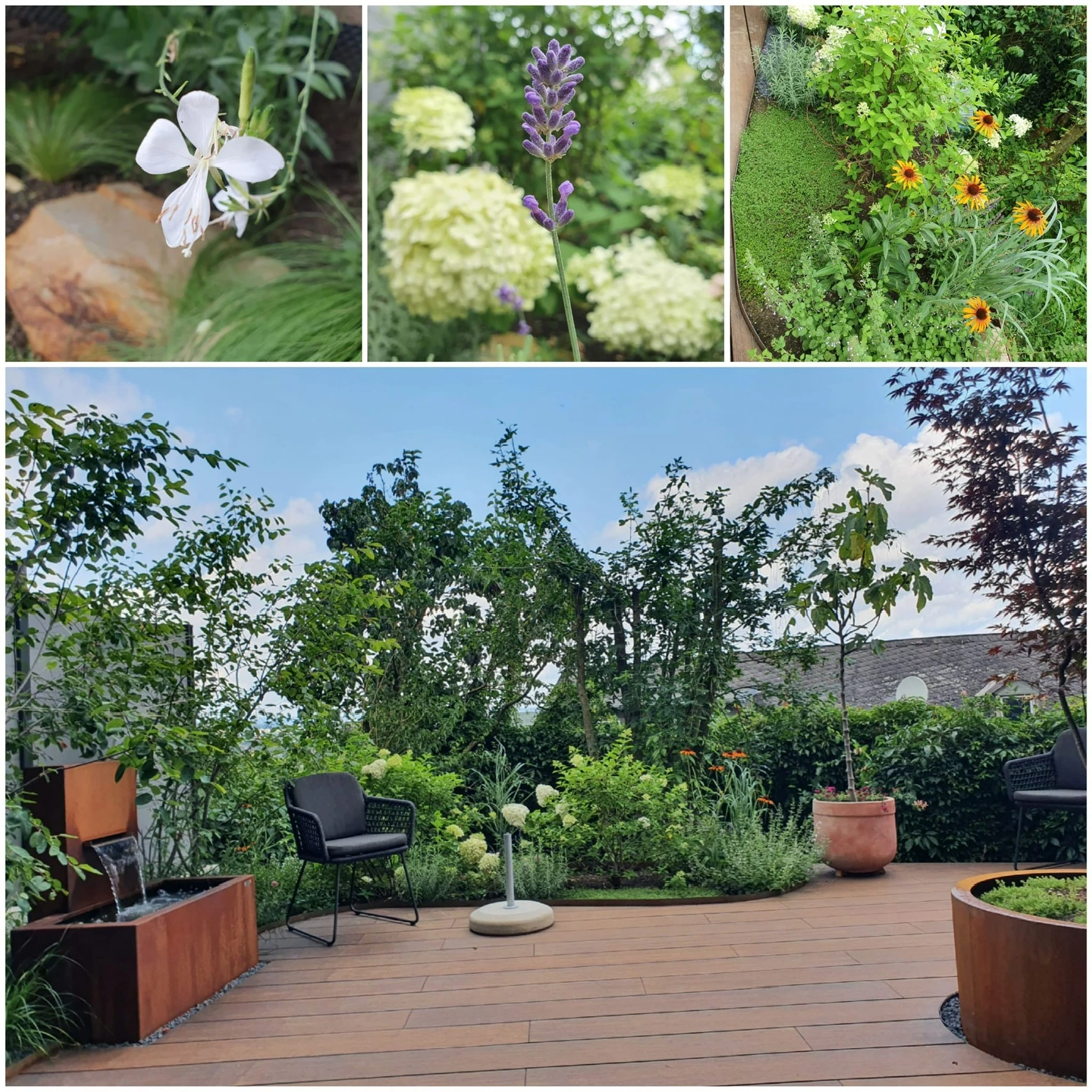 Stefan Keiser Gartengestaltung.jpg