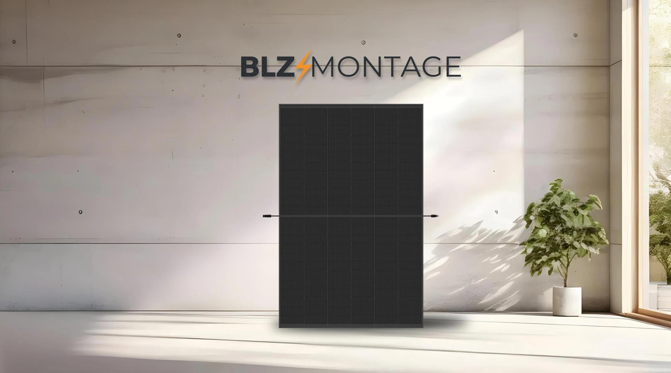 BLZMontage.jpg