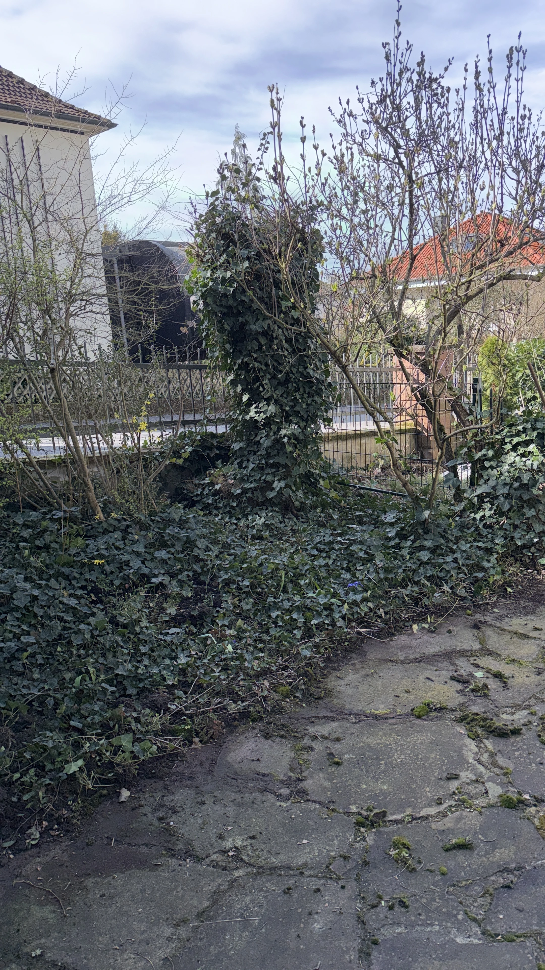 Dienstleistung für Gartenpflege Bensheim.jpg