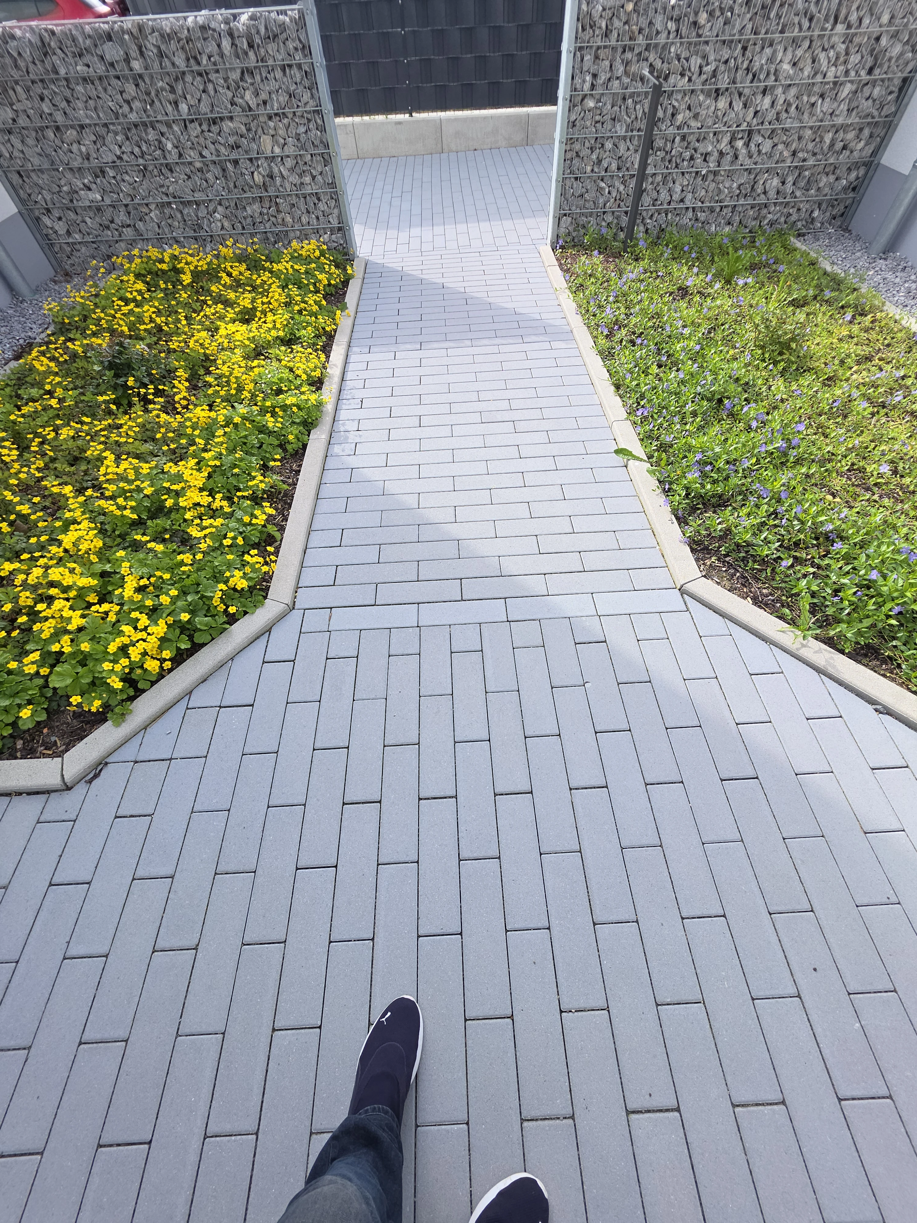 A&E Gartenpflege mit Hausmeistertätigkeit .jpg