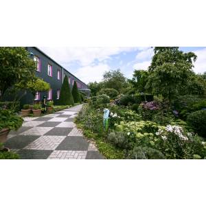 Dr. Müller, Hufschmidt Tax Consultants.jpg