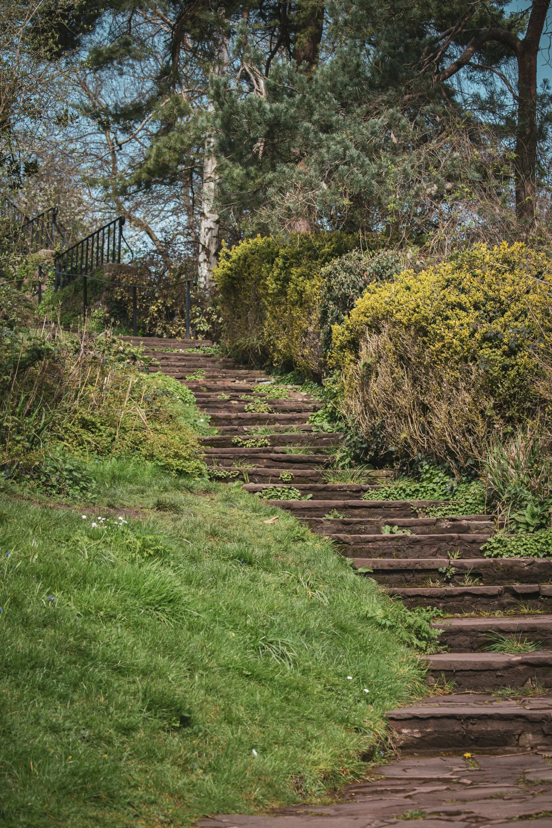 Garten und Forstservice. Beversdorf .jpg
