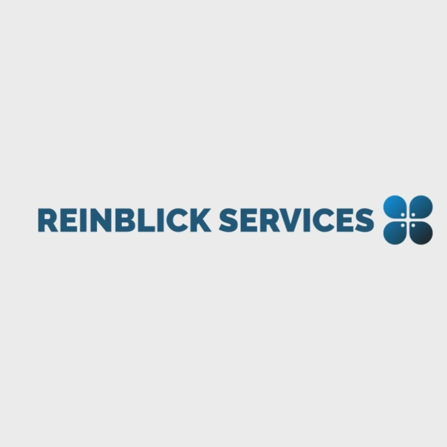 Reinblick services.jpg