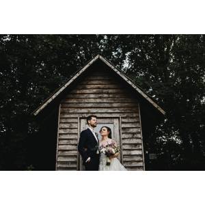 Elephant and Butterfly.jpg