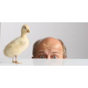 Kaiserberg-Studios e.K..jpg