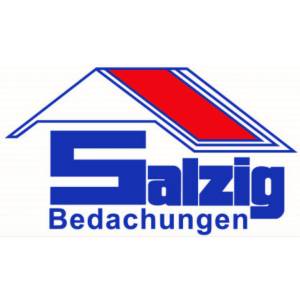Heinz Salzig GmbH & Co. KG.jpg
