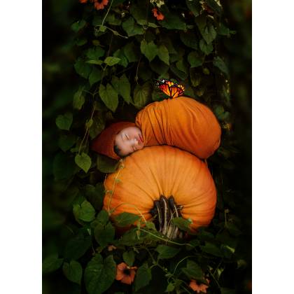 ann alzog fotodesign.jpg