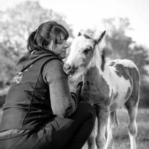 Hoof n paw photography by Sarah Suhren.jpg