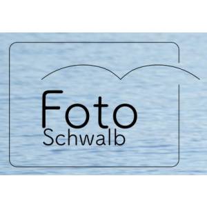 Foto-Schwalb.jpg