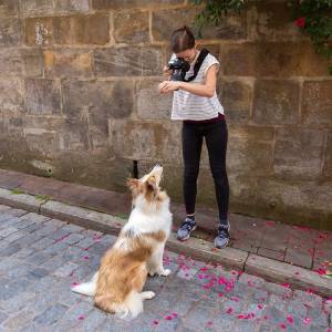 YIART Hundefotografie.jpg