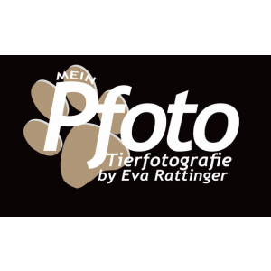 MeinPfoto Eva Rattinger Tierfotografie.jpg