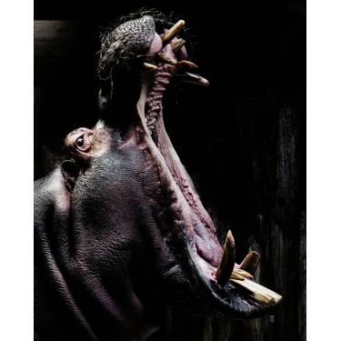 Andreas Friedrich Fotografie.jpg