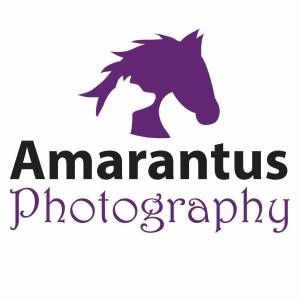 Pferdefotografie mit Angelina Kühn.jpg