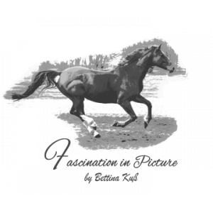 Fascination in Picture Bettina Kuß.jpg