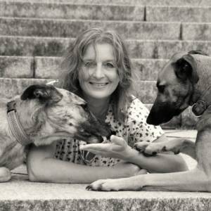 helo-photography Tierfotografie.jpg