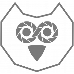 Holger F. Schmidt.jpg