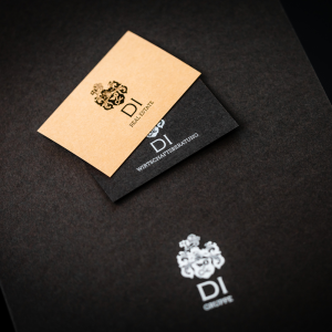 DI Wirtschaftsberatung GmbH.jpg