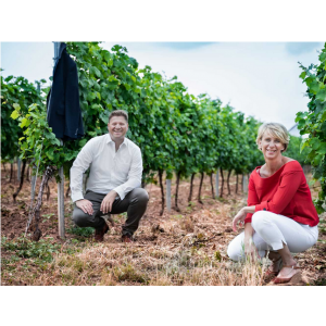 W. Schneider Immobilien GmbH.jpg