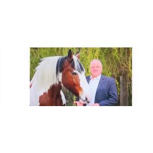 Allianz Versicherung Peter Kohl Hauptvertretung in Magdeburg - Alte Neustadt.jpg