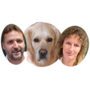 Fahrensohn Akademie.jpg