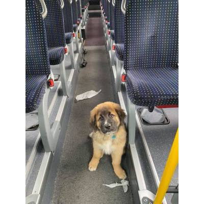 Fahrschule und Verkehrsfachschule Sauerland.jpg