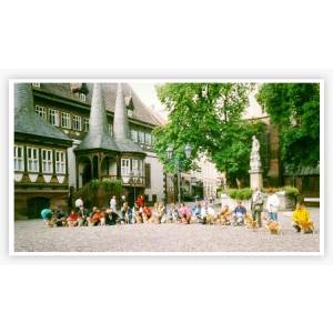 Steuerkanzlei Niclas und Frank Raue.jpg