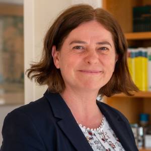 Schwing Steuerberatung / Unternehmensberatung.jpg