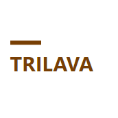 TRILAVA Immobilien.jpg