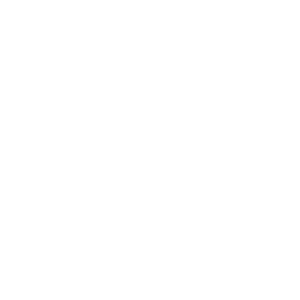 Finest Invest GmbH.jpg