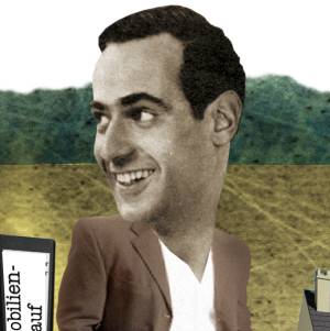 IMMOLESS Immobilien.jpg