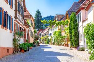 Martin Knaus Immobilien.jpg