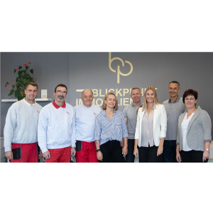 BLICKPUNKT IMMOBILIEN.jpg