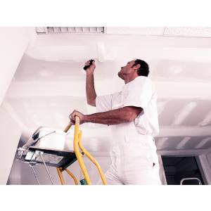 Auerswald und Niggemeier.jpg