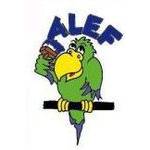 Bodo Alef, Malermeisterbetrieb.jpg