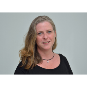 Stelter, Gottstein & Kollegen.jpg