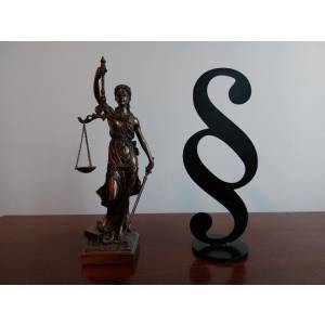 Ulrike Nortmann Rechtsanwältin.jpg