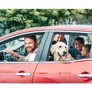 Kanzlei Rechtsanwalt Frank Uhlmann.jpg