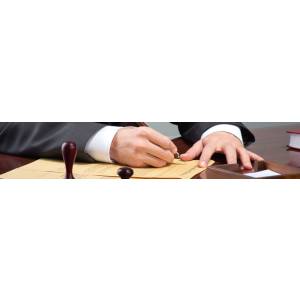 Rechtsanwältin Kathi Hofmann-Schuhmann.jpg