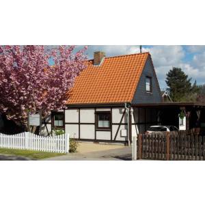 Lysann Berthold Rechtsanwältin.jpg