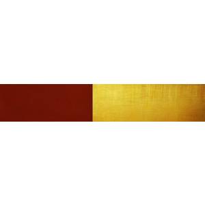 Rechtsanwalt Michail B. Karawer.jpg