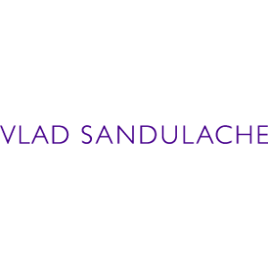 Vlad Sandulache.jpg